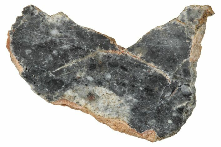 Lunar Meteorite ( g) Slice - Bechar #348224